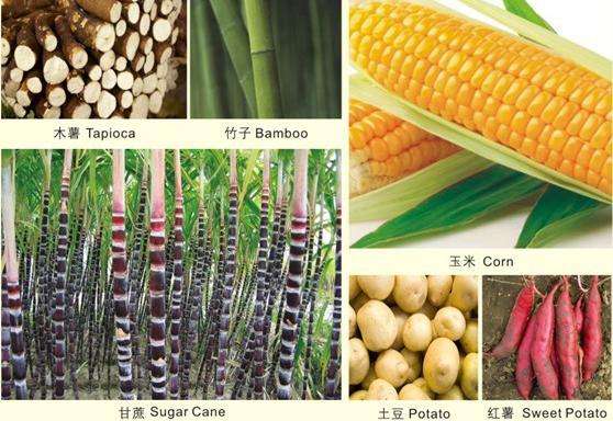 為什么玉米成為全生物降解塑料袋的主要材料(圖1)